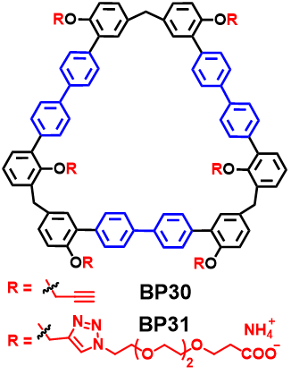 BP30-31