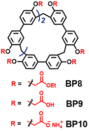 BP8-10